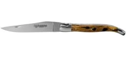 Laguiole En Aubrac 12cm Double Plates, Hand-filed Cactus, L0712CA51-FSI1