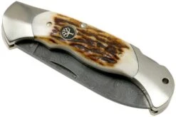 Böker Scout Spearpoint Stag Damascus 112201DAM Stag Horn, Pocket Knife -Knife Sale Shop BO112201DAM 04 boker