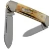 Case Baby Butterbean Genuine Stag 05537, 52132W SS Pocket Knife -Knife Sale Shop CE05537 01 case