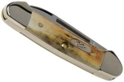 Case Baby Butterbean Genuine Stag 05537, 52132W SS Pocket Knife 10 Case Baby Butterbean Genuine Stag 05537, 52132W SS Pocket Knife -Knife Sale Shop CE05537 04 case