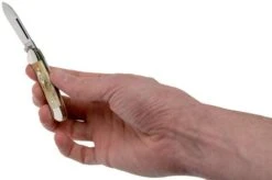 Case Baby Butterbean Genuine Stag 05537, 52132W SS Pocket Knife 11 Case Baby Butterbean Genuine Stag 05537, 52132W SS Pocket Knife -Knife Sale Shop CE05537 05 case