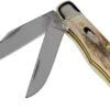 Case Pocket Hunter Genuine Stag, 5621, 52165 SS Pocket Knife -Knife Sale Shop CE05621 01 case