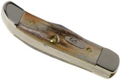 Case Pocket Hunter Genuine Stag, 5621, 52165 SS Pocket Knife -Knife Sale Shop CE05621 04 case