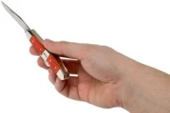 Case 6318 SS Tequila Sunrise Medium Stockman -Knife Sale Shop CE14483 05 case