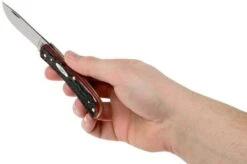 Case Sod Buster Jr Crimson Red Peach Seed Jigged Bone, 27383, 6137 SS Pocket Knife 15 Case Sod Buster Jr Crimson Red Peach Seed Jigged Bone, 27383, 6137 SS Pocket Knife -Knife Sale Shop CE27383 07 case