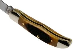 Case Pocket Hunter Dark Molasses Bone, Sawcut, 83142, 61165 SS Pocket Knife -Knife Sale Shop CE83142 05 case