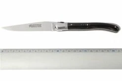 Fontenille Pataud L6PCN -Knife Sale Shop FPL6PCN 06 fontenille pataud fpl6pcn d5