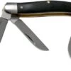 Kershaw Brandywine 4382 Stockman Pocket Knife