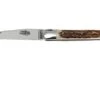 Forge De Laguiole 11cm Deer Horn 1211INCFBRI -Knife Sale Shop LA1211INCFBRI 01 forge de laguiole la1211incfbri 01