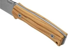 Lionsteel M4 Olive MagnaCut M4-MC-UL, Knivesandtools Exclusive, Fixed Knife -Knife Sale Shop LI M4 MC UL 04 lionsteel