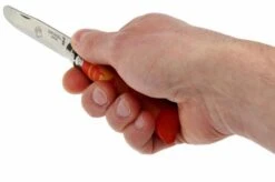 Opinel 'My First Opinel', Animopinel Lion -Knife Sale Shop OPT001701 05 opinel my first opinel animopinel lion opt001701 d5