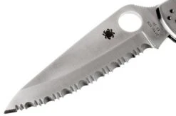 Spyderco C10 Endura 4, Spyder Edge -Knife Sale Shop SP C10S 02 spyderco c10 endura d2