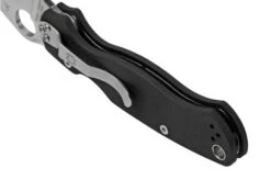 Spyderco Paramilitary 2 C81GP2 Pocket Knife -Knife Sale Shop SPC81GP2 04 spyderco