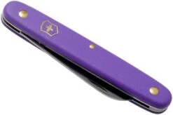Victorinox Floral Knife 3.9050.22B1 Violet -Knife Sale Shop VT3 9050 22B1 04 victorinox