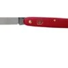 Victorinox Floral Knife 3.9050.B1 Red -Knife Sale Shop VT3 9050 B1 01 victorinox
