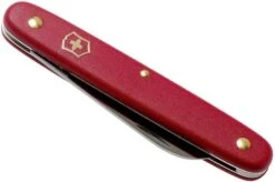 Victorinox Floral Knife 3.9050.B1 Red -Knife Sale Shop VT3 9050 B1 04 victorinox